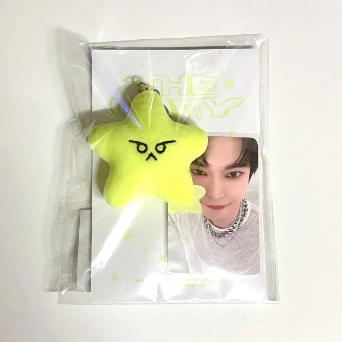NCT | 엔시티 NCT 127 Mark Starfish Everland MD Reusable Bag